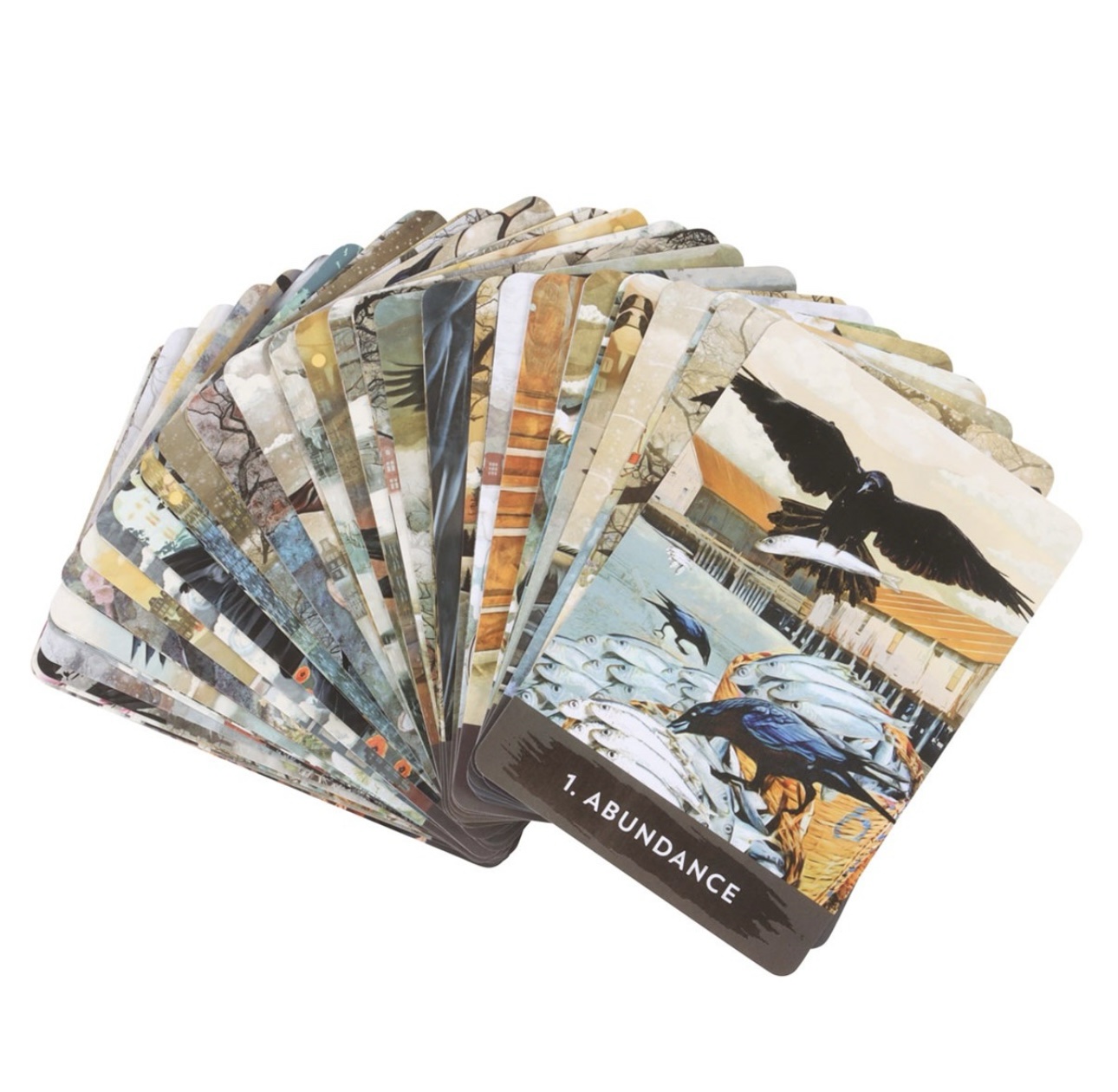 The Urban Crow Oracle