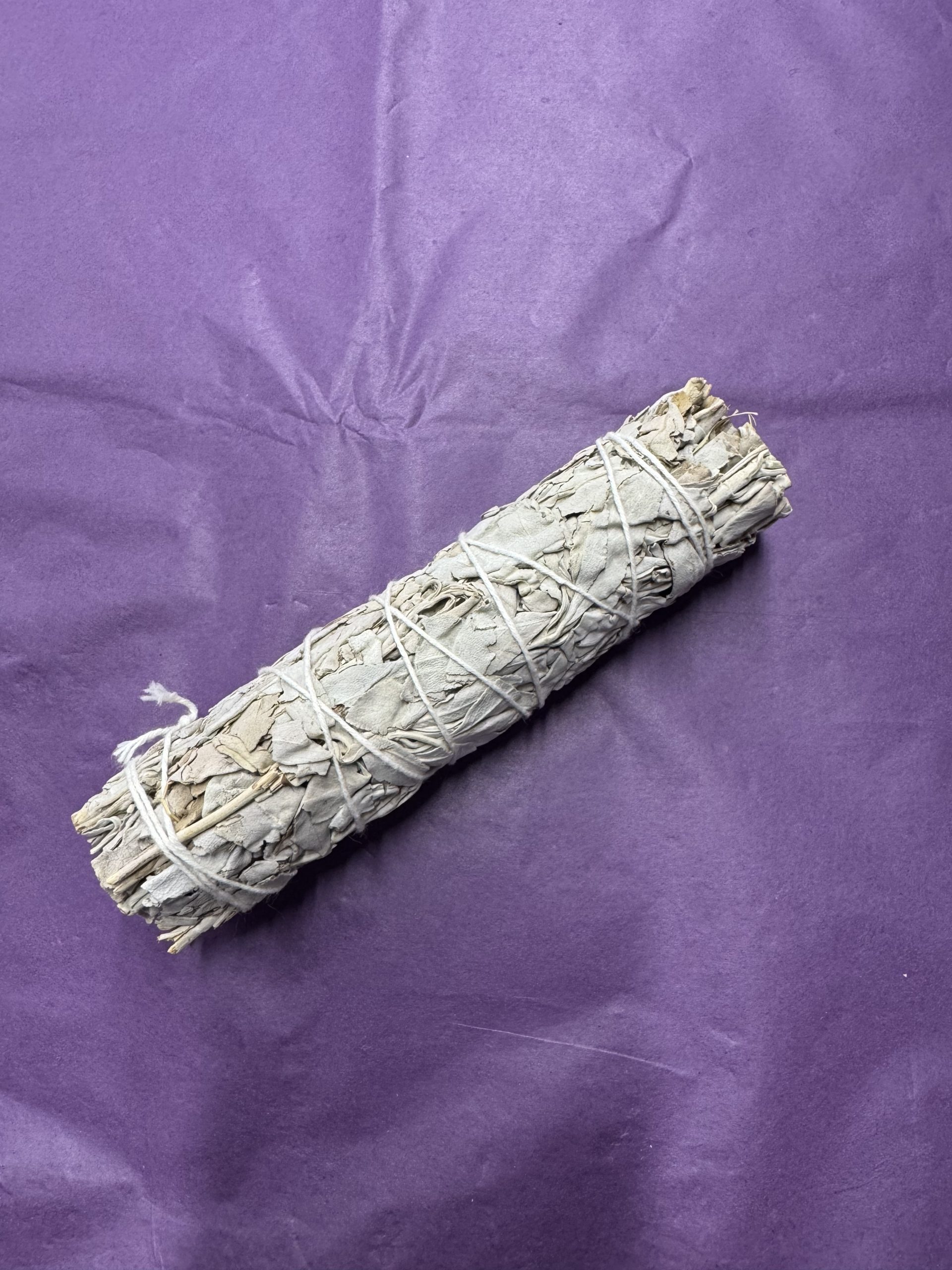 White Sage Medium Purifying Smudge Stick